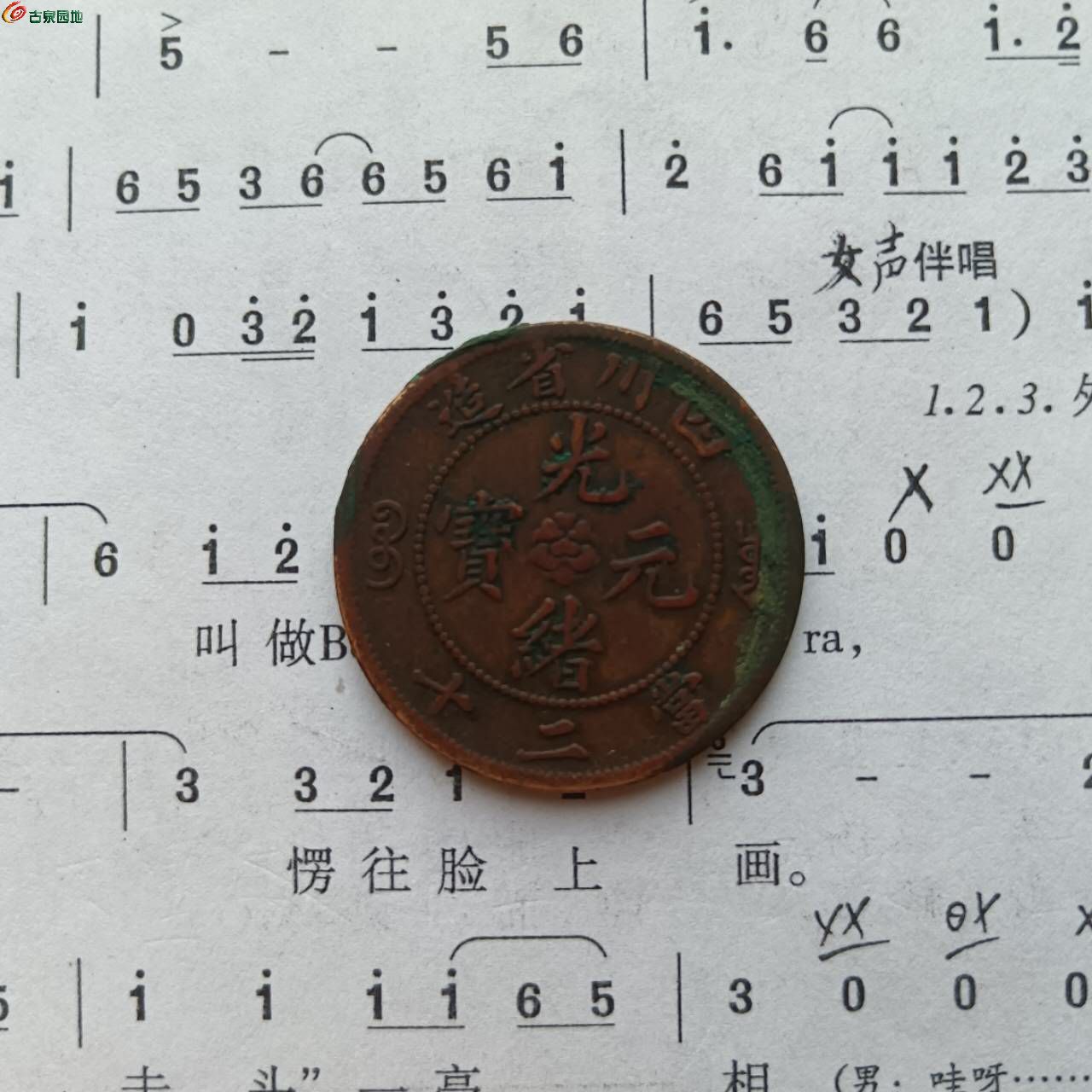 27718.jpg