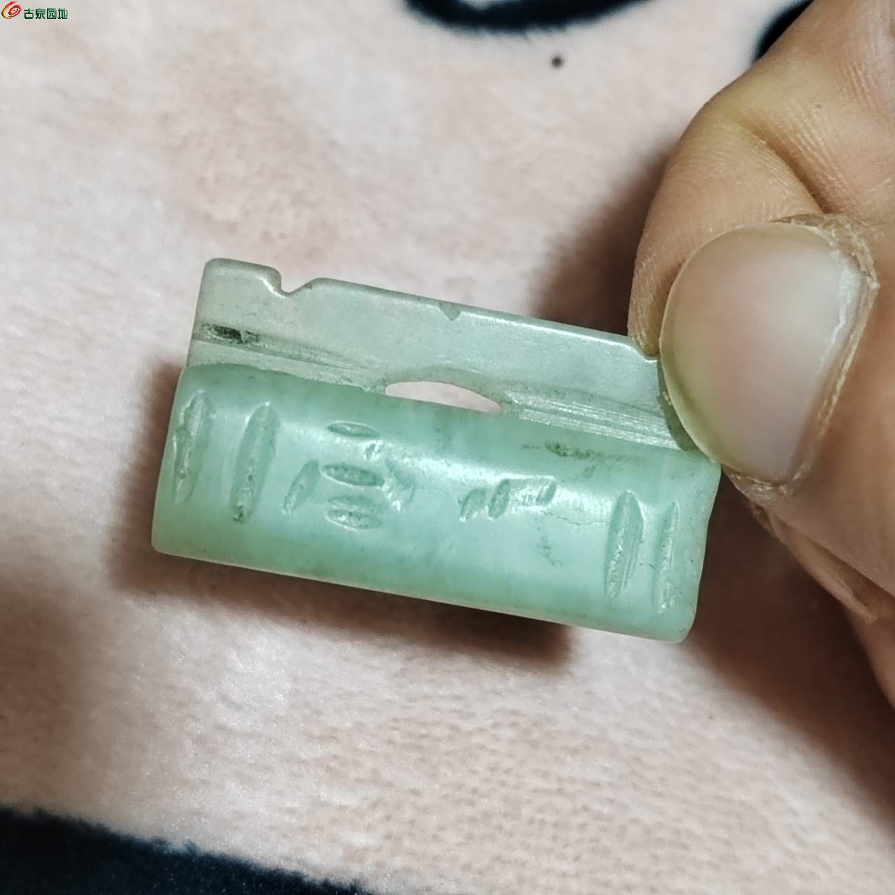 87933.jpg