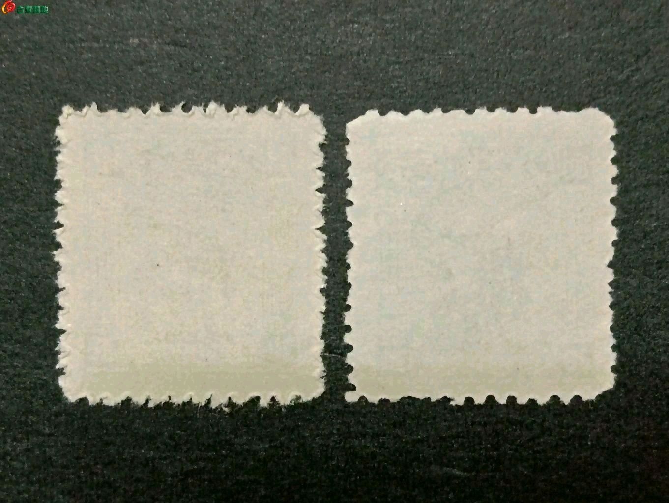1774011687751.xfile.jpg