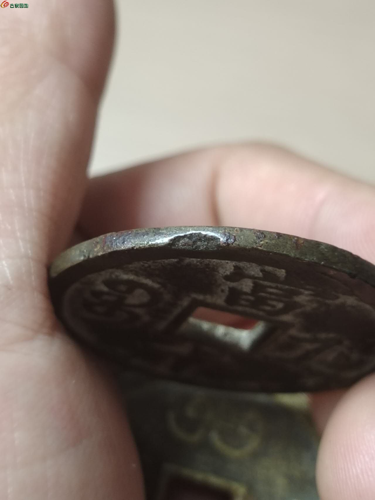 53978.jpg