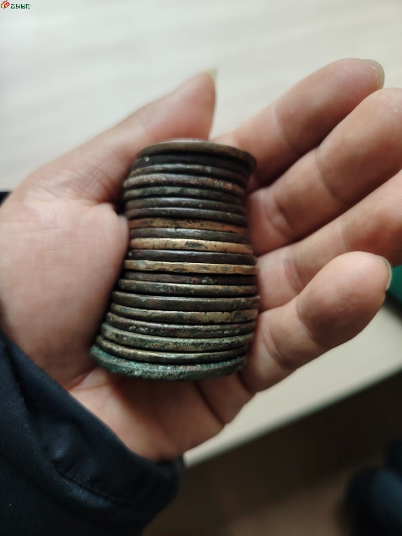 75890.jpg