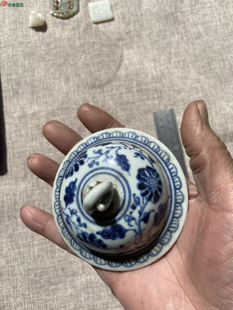 微信图片_20260322113231_3065_3.jpg
