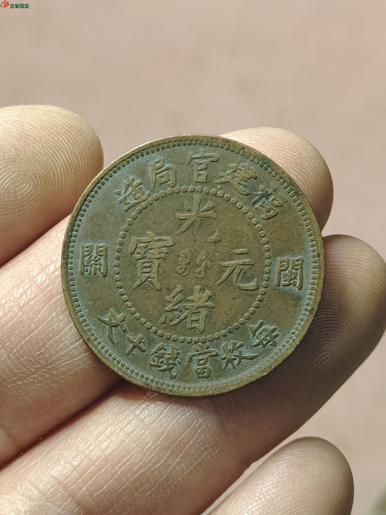 86033.jpg