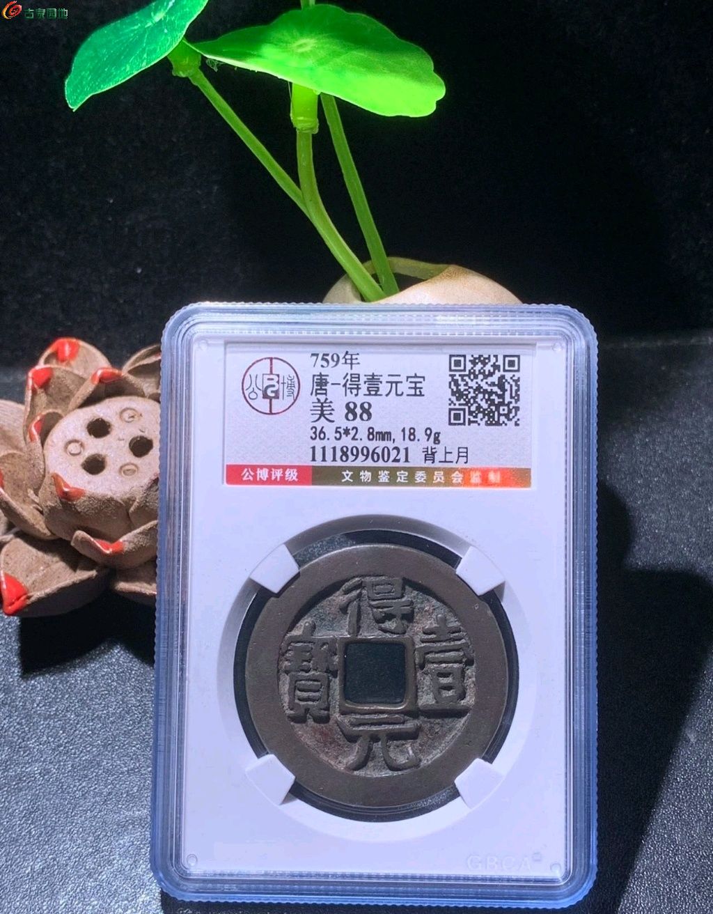 1774869919353.xfile.jpg