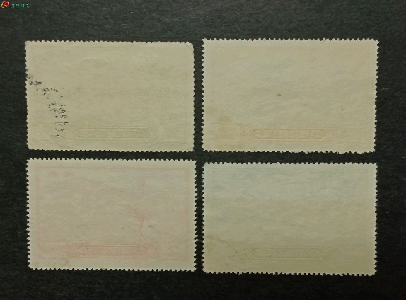 1774871774239.xfile.jpg