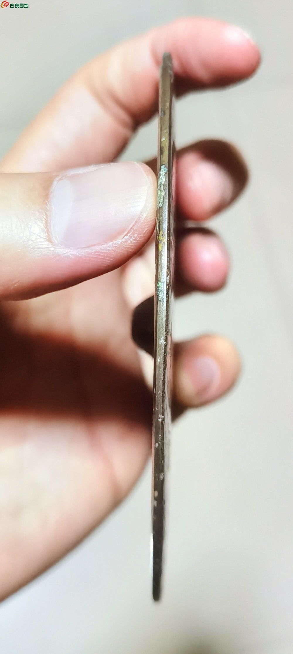 480,06da8377969e444a.jpg