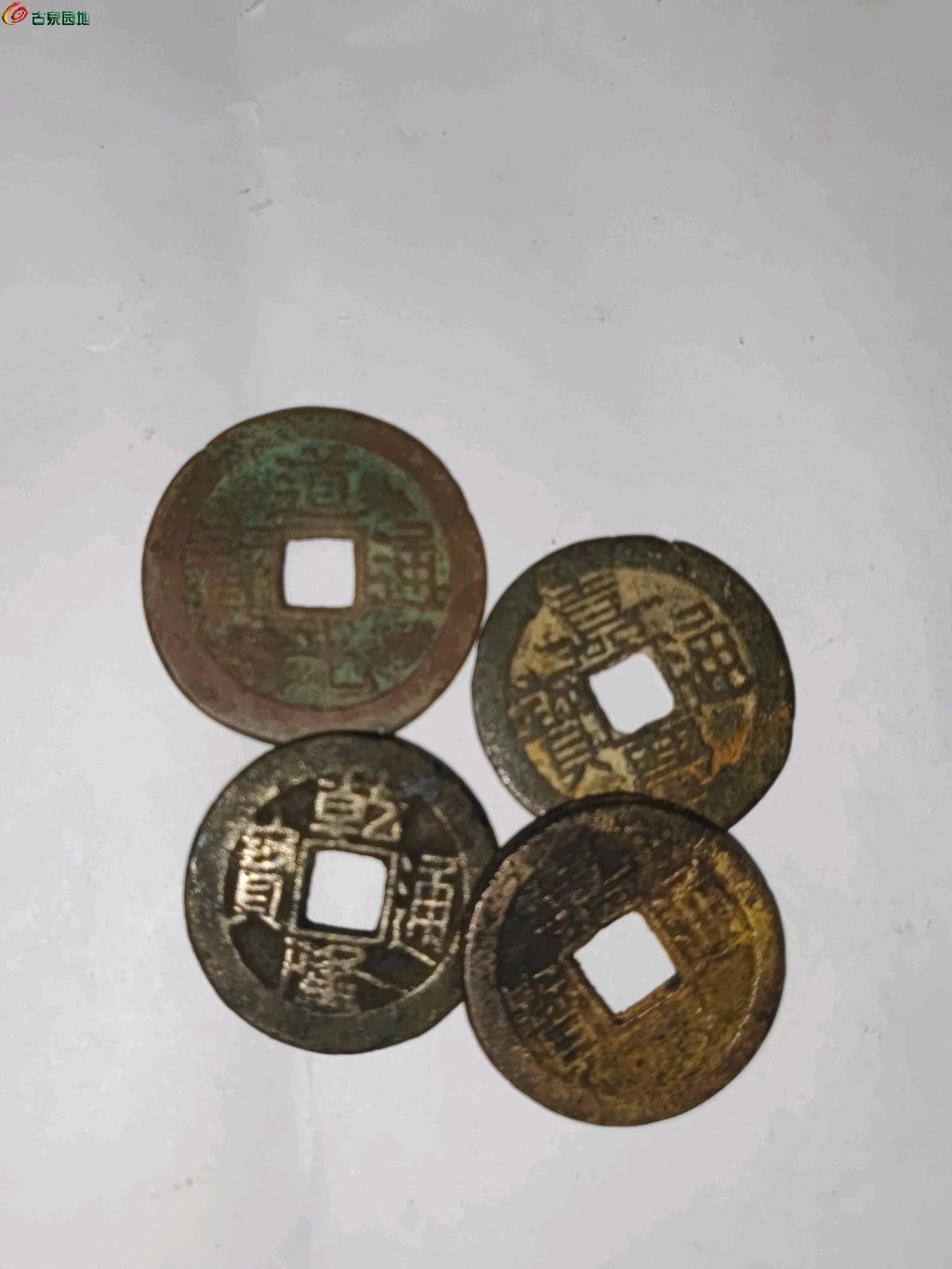 1775281911206.xfile.jpg