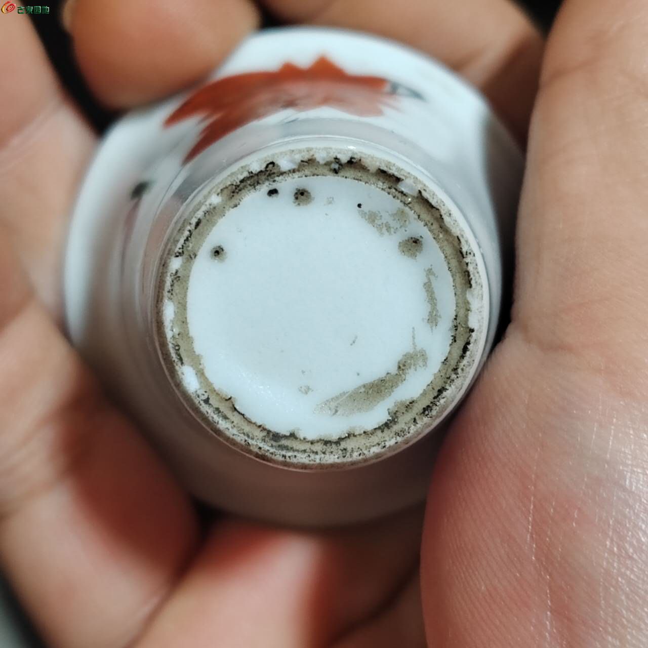 65458.jpg