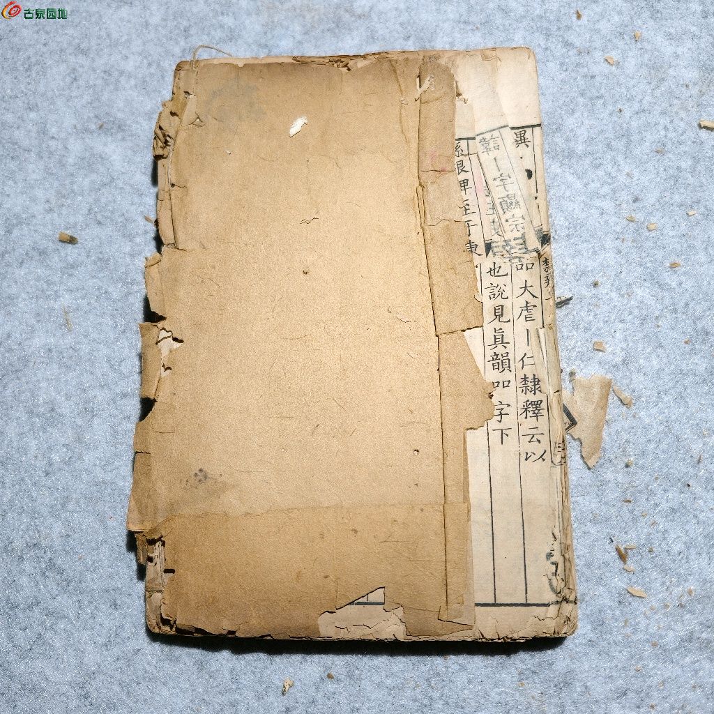 1775446562627.xfile.jpg