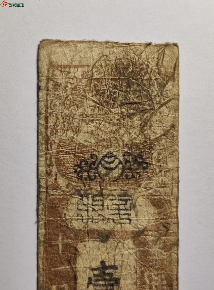 123270E8-6F96-4152-85C0-21C53693F81F.jpe