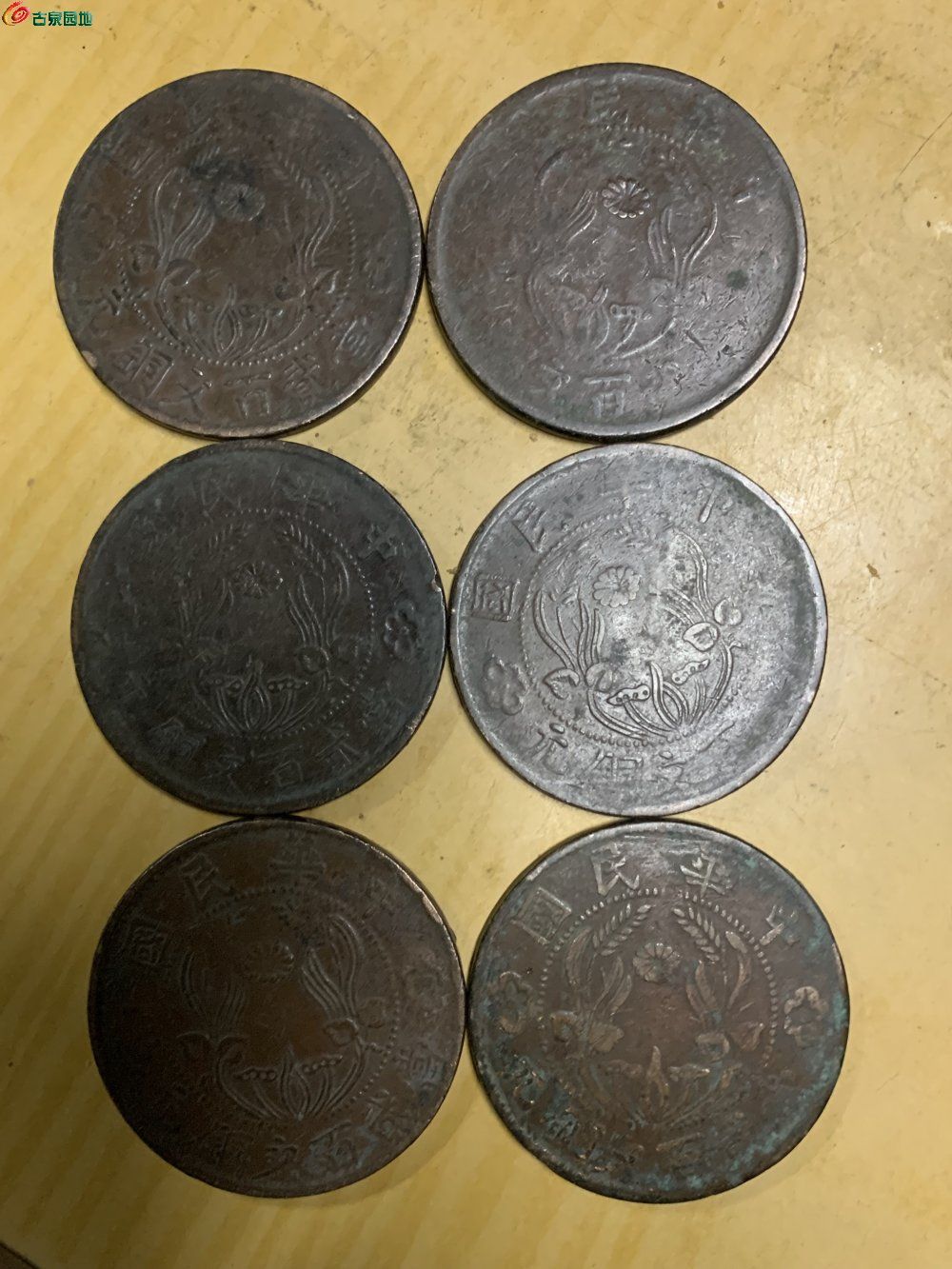 53789204-5F17-4DD4-9CE0-CAA2E1689739.jpe