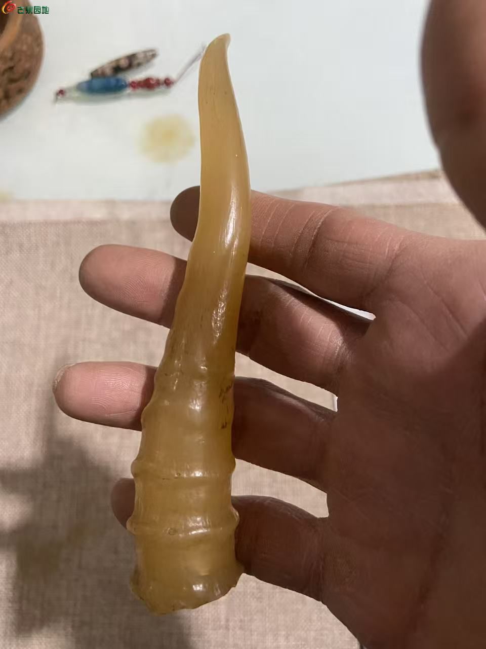 微信图片_20260412052633_620_3.jpg