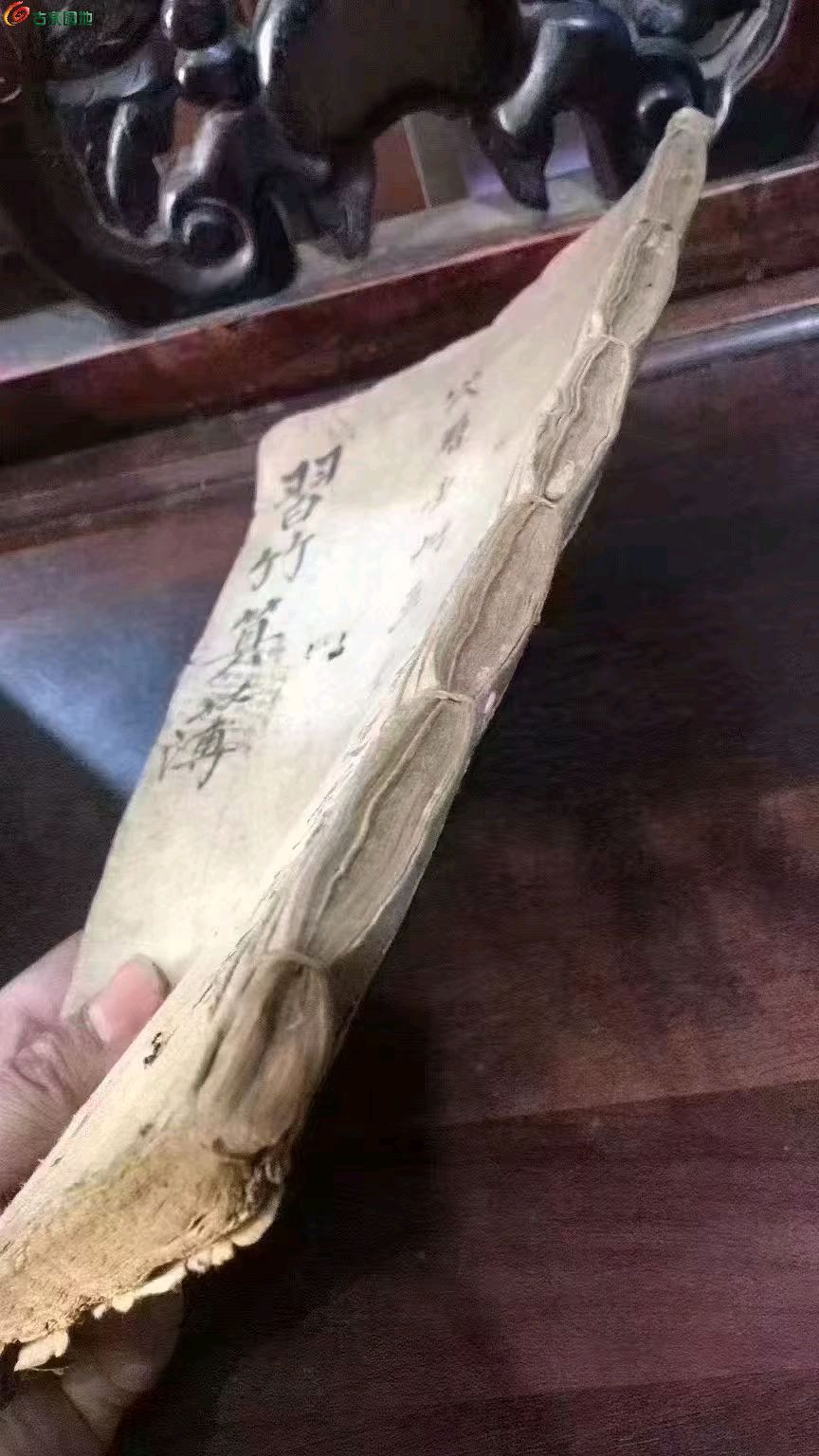 1776037791115.xfile.jpg