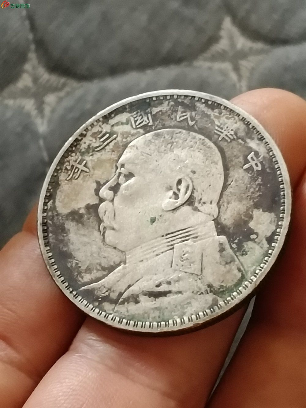 18568.jpg