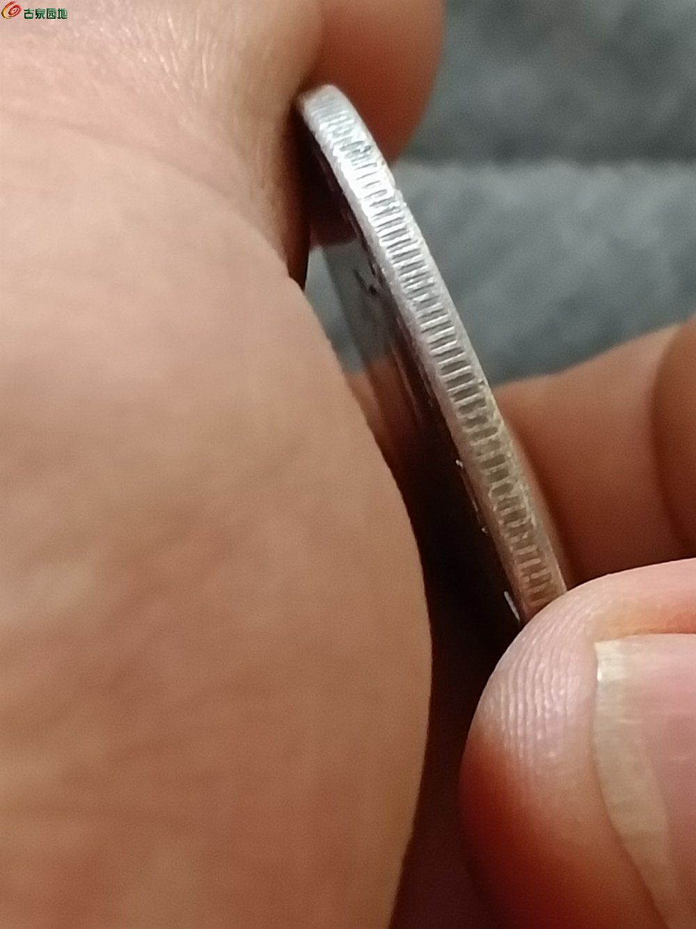 70301.jpg