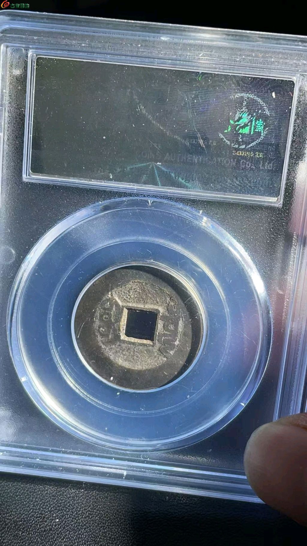 1771737893553.xfile.jpg