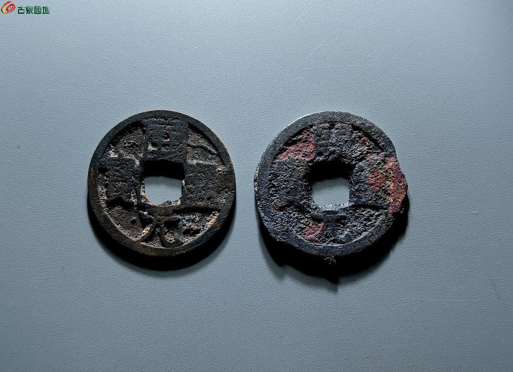 IMG_20260210_162848_edit_309976542402781