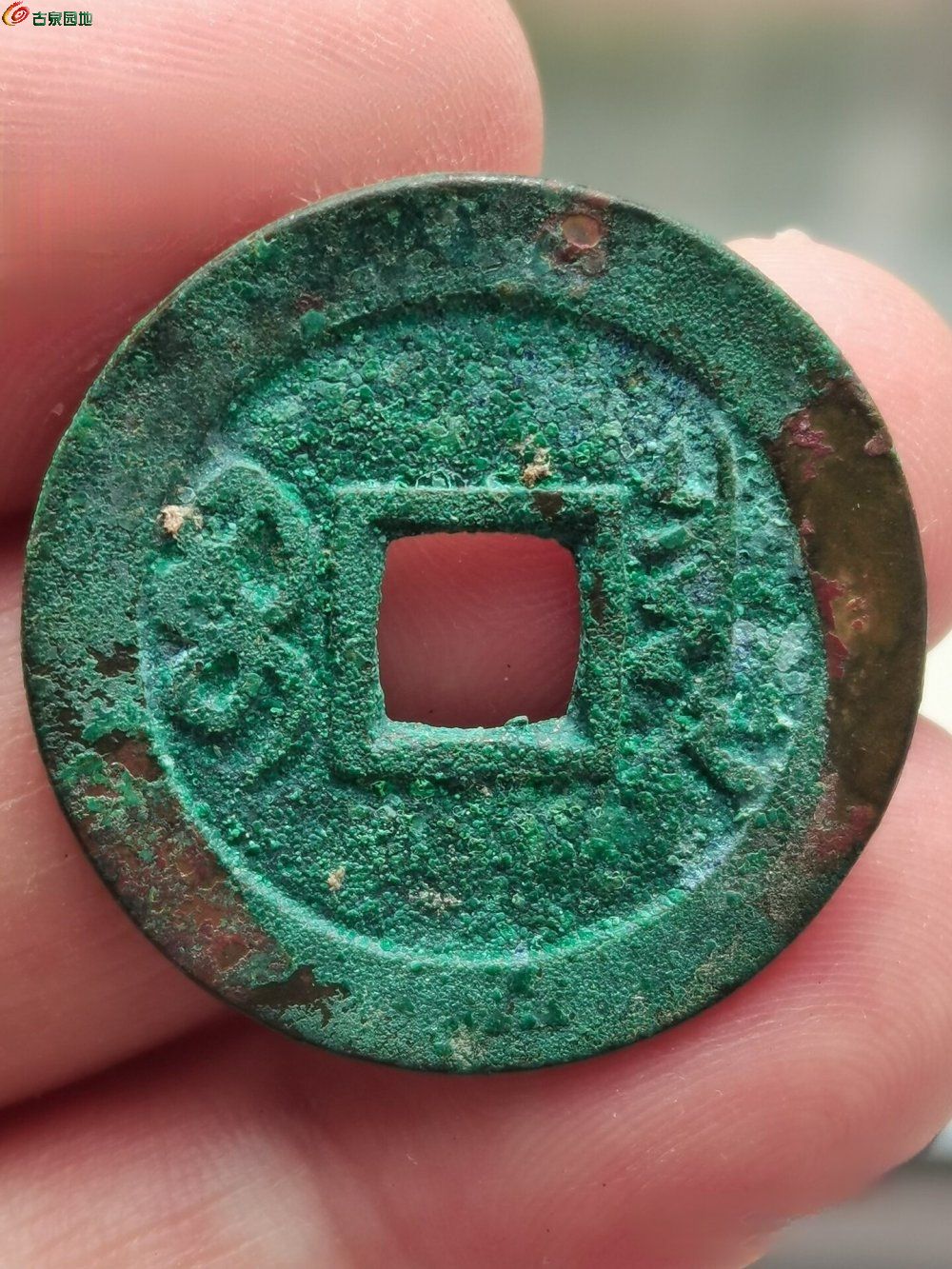 image_editor_1772160488829_edit_17802953