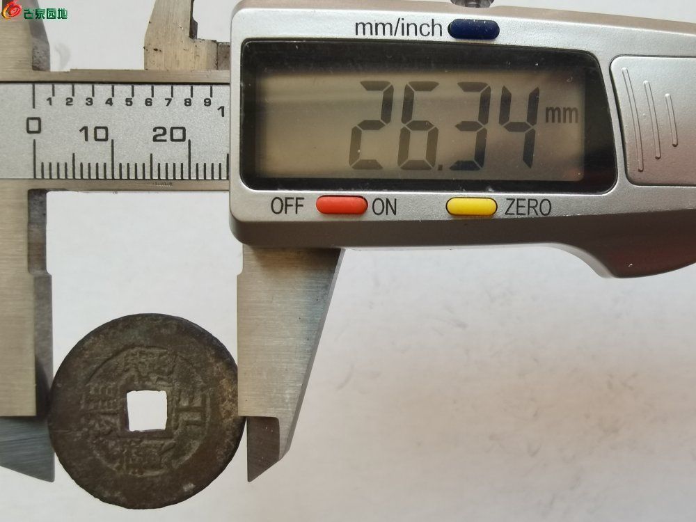 55.jpg