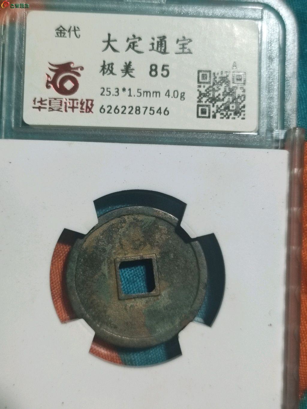1772265482035.xfile.jpg