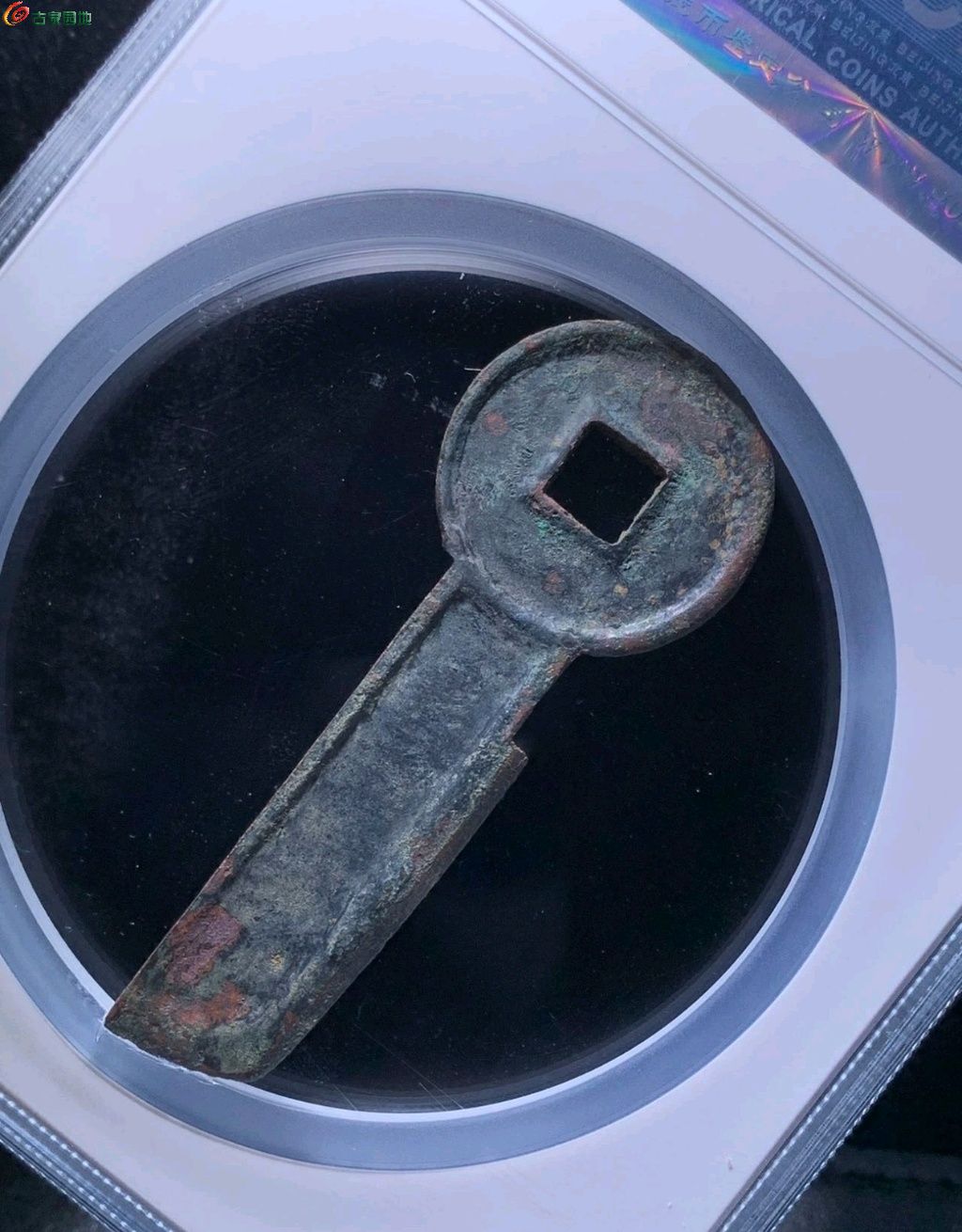 1772452190499.xfile.jpg