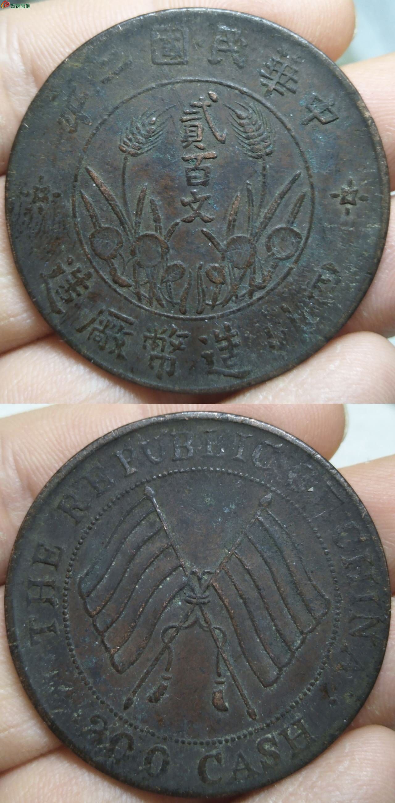 87810.jpg