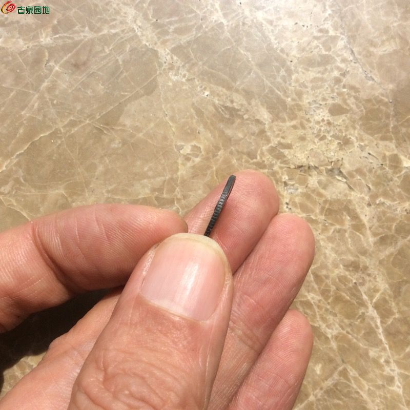 F8C13DD9-4139-4126-8B37-8A8968A5B51A.jpe