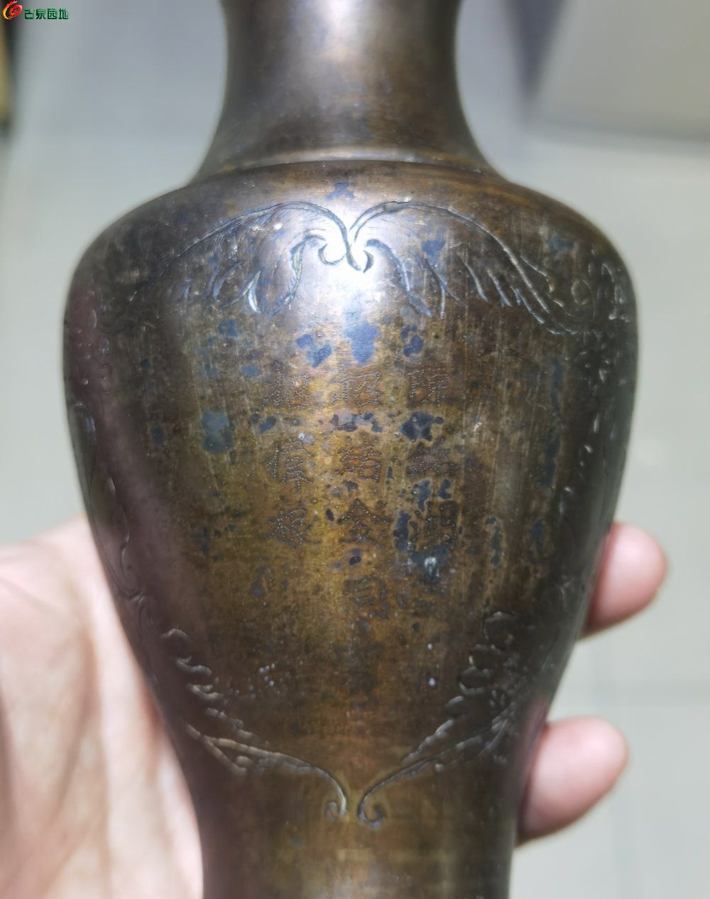 195,0130ac22ab4518f6.jpg