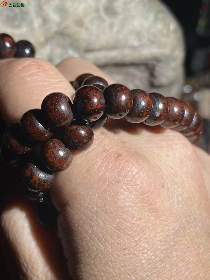 老星月菩提子3.jpg