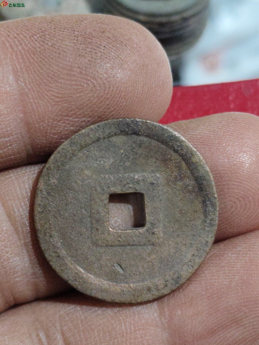 1773114586926.jpg