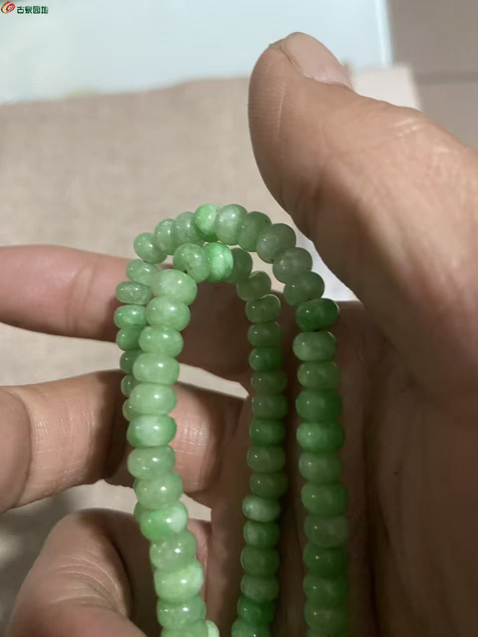 微信图片_20260308040335_1882_3.jpg
