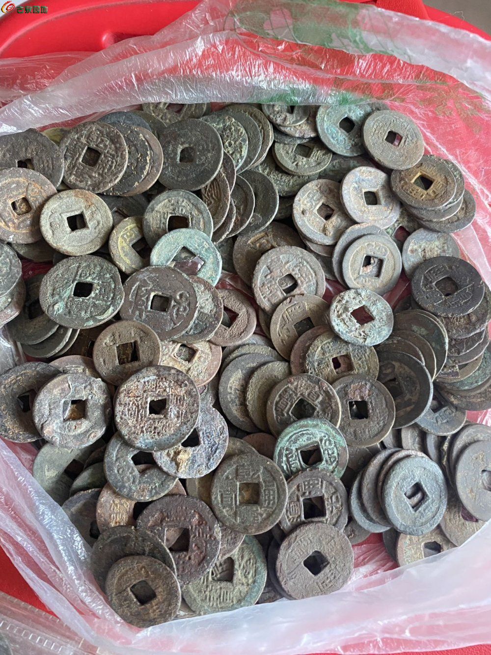 98333.jpg