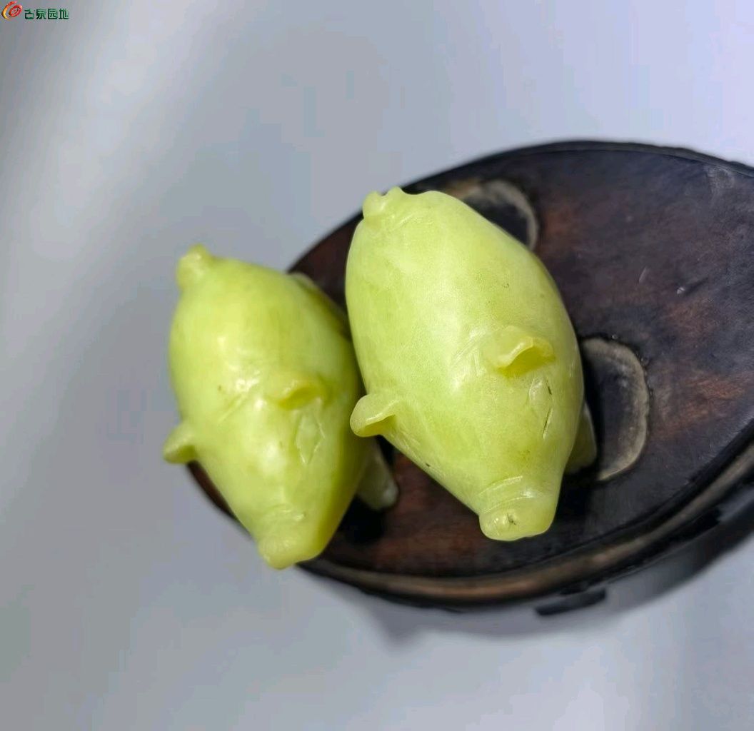 1774071530271.xfile.jpg