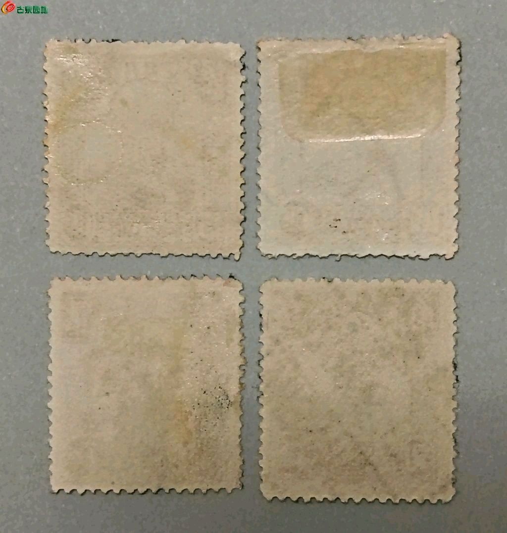 1774082632664.xfile.jpg