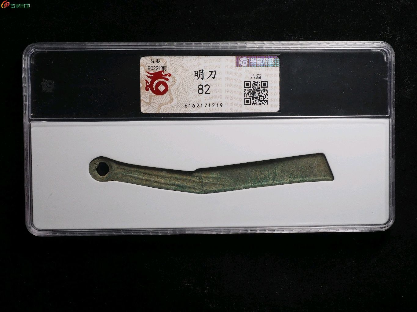 1774165310907.xfile.jpg