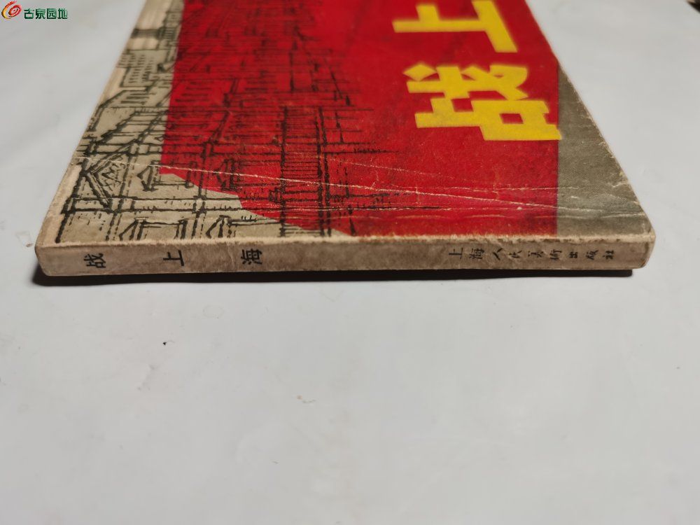 IMG_20260324_212236.jpg