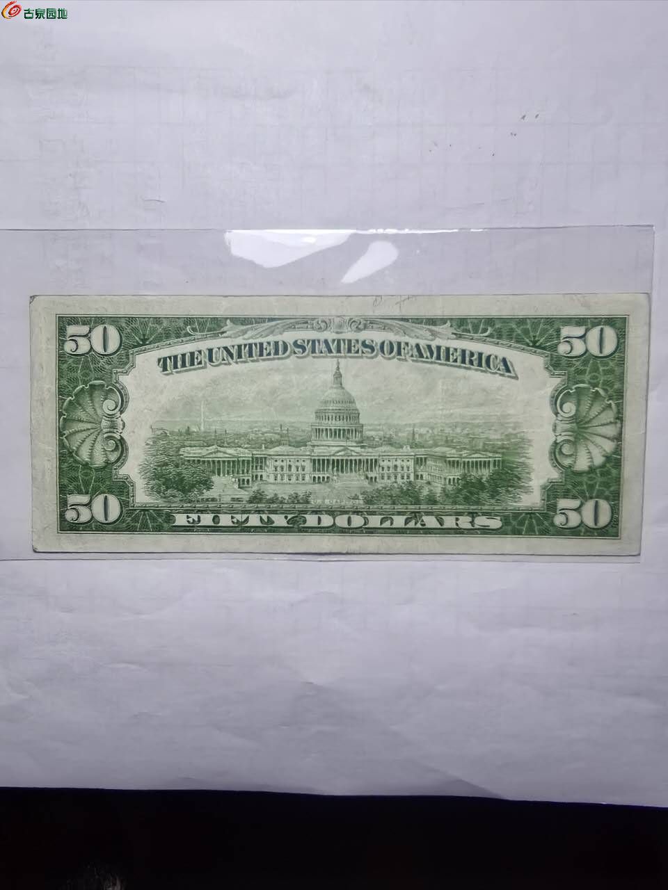 80877.jpg