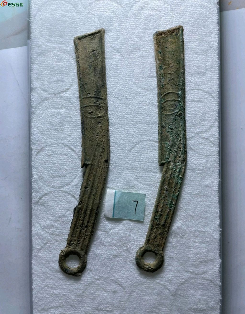 1774485115565.xfile.jpg