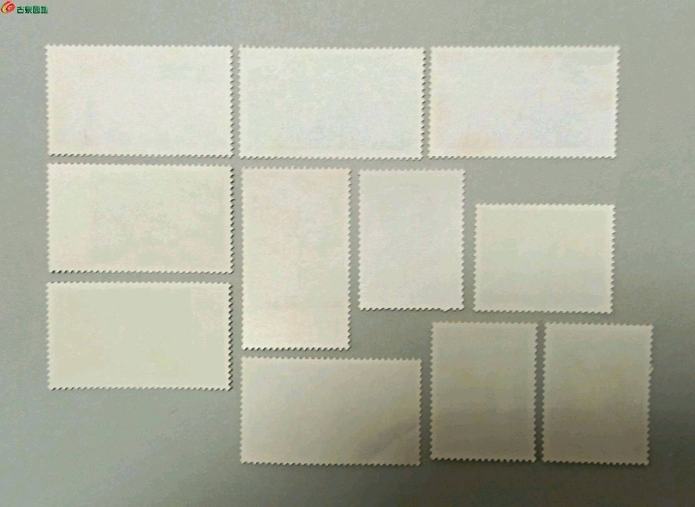1774614057932.xfile.jpg