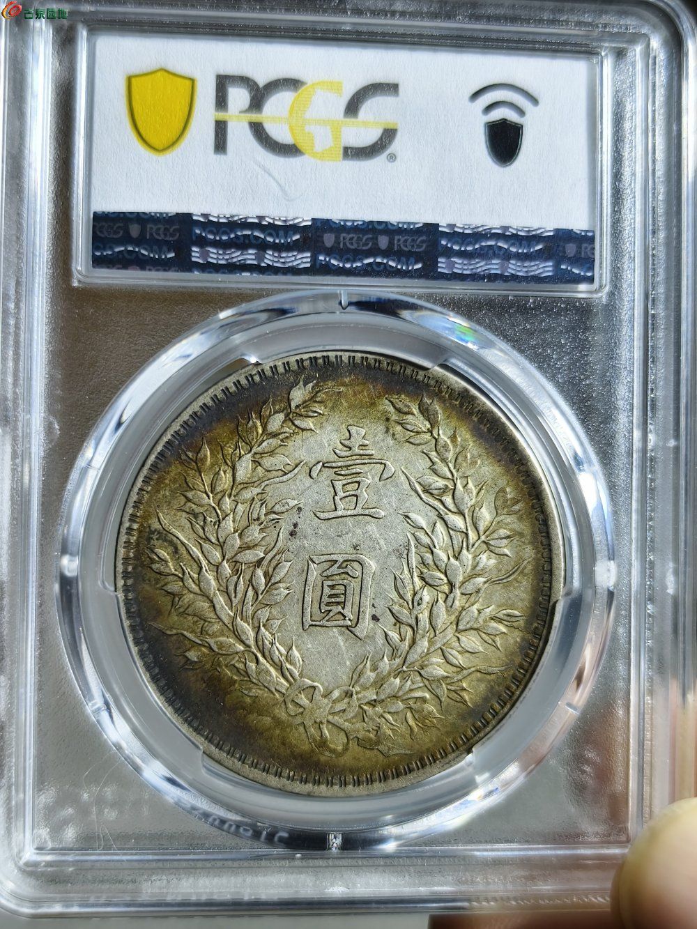 mmexport1774683245630.jpg