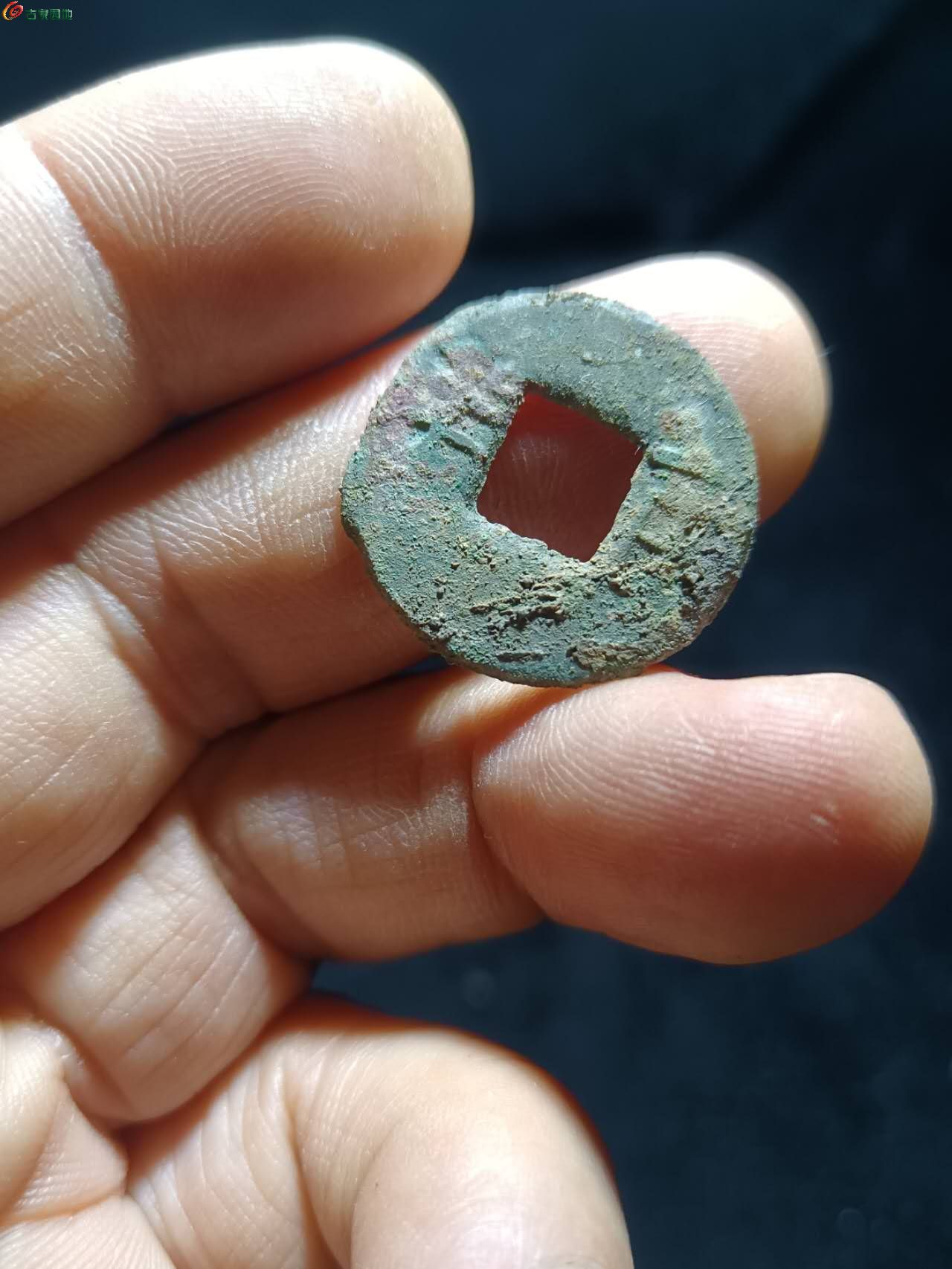 19524.jpg