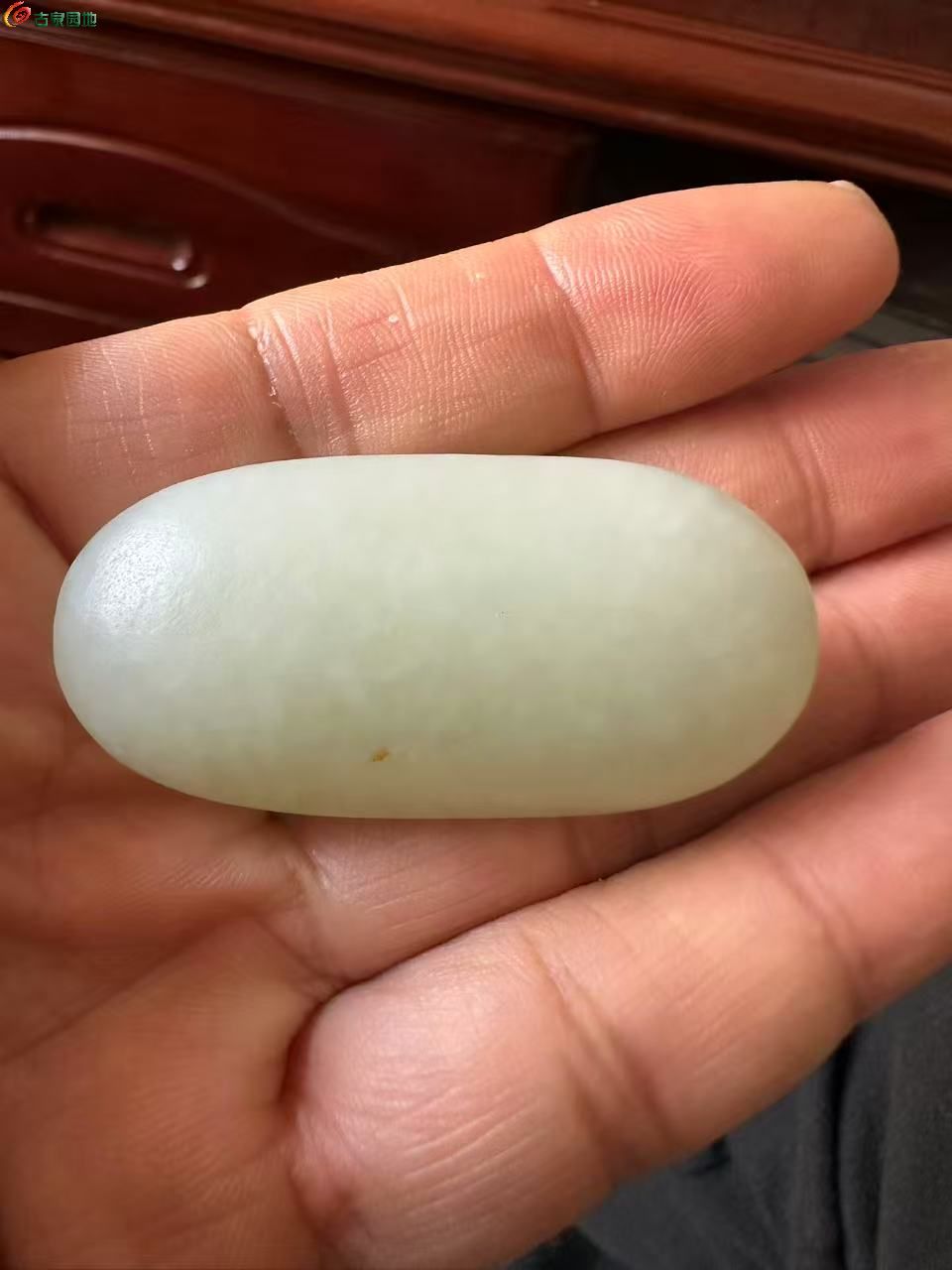 微信图片_20260329171936.jpg