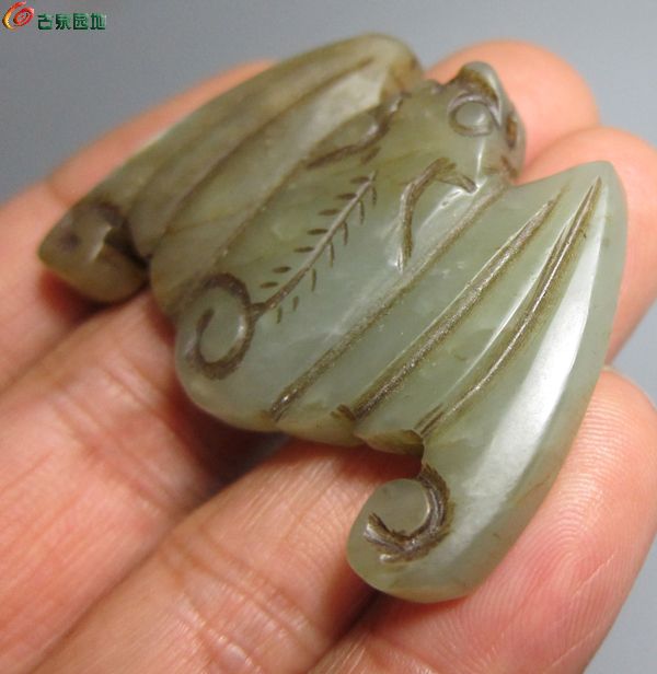 蝙蝠2.jpg