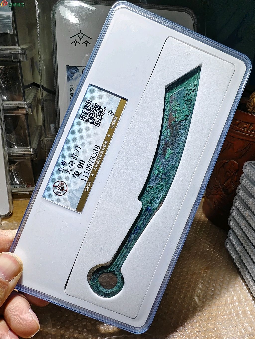 1775131824432.xfile.jpg
