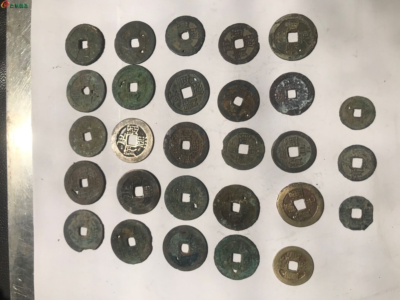 1775283842431.xfile.jpg