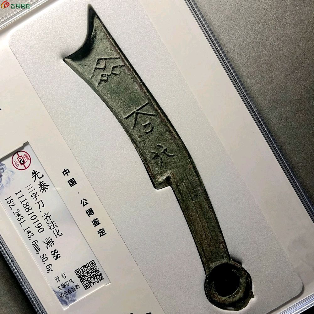 1775340898868.xfile.jpg