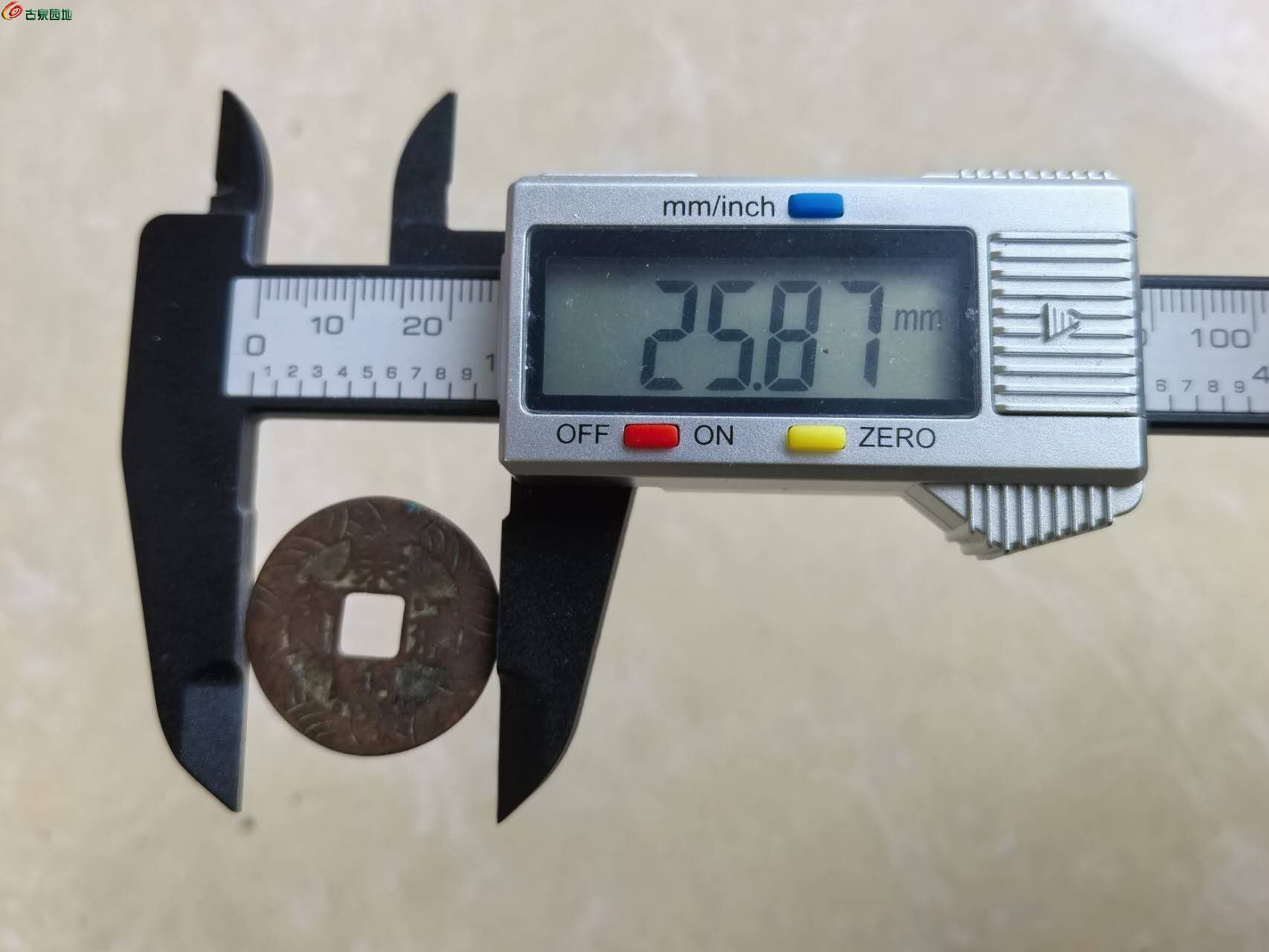 51391.jpg