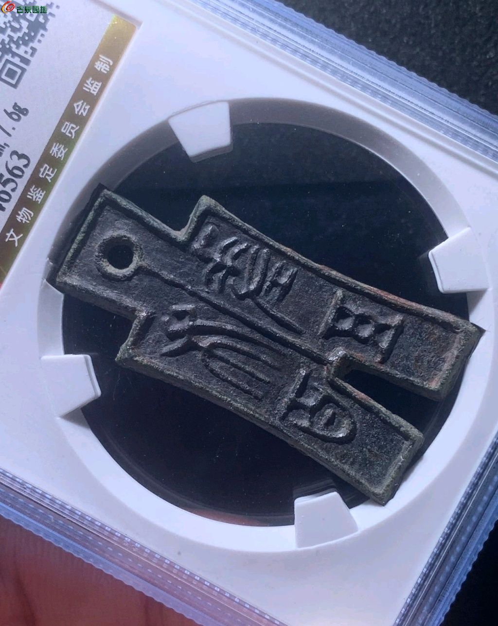 1775516422962.xfile.jpg