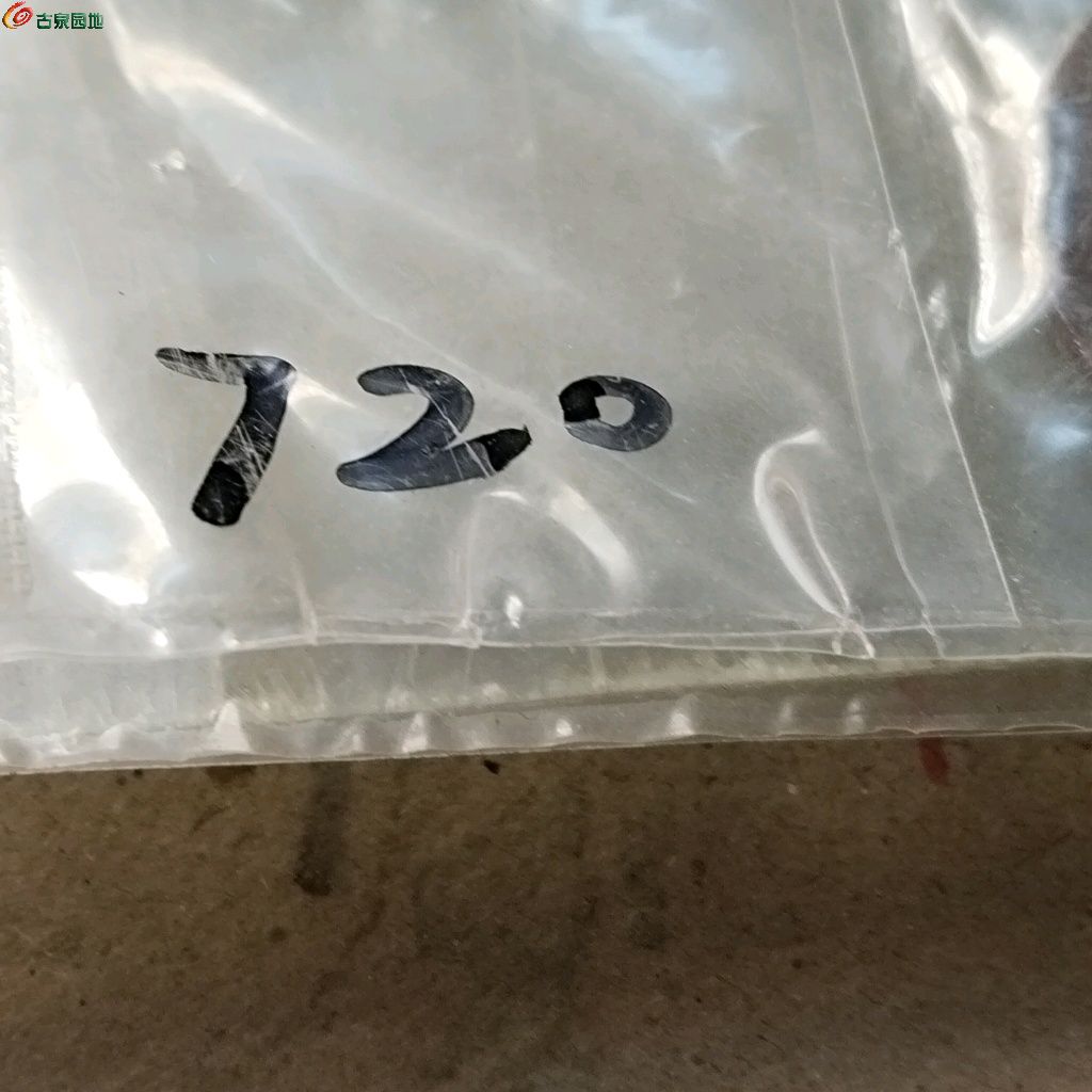 1775528356839.xfile.jpg