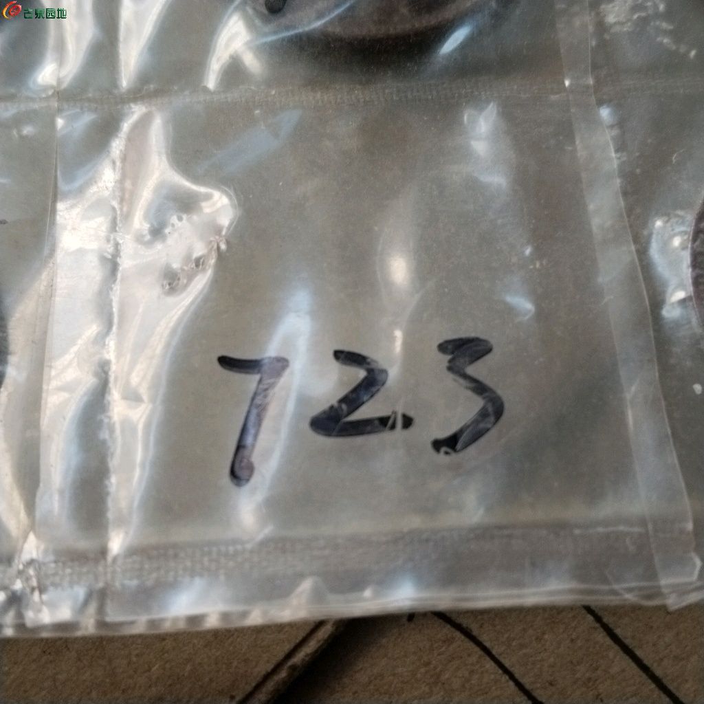 1775529487769.xfile.jpg